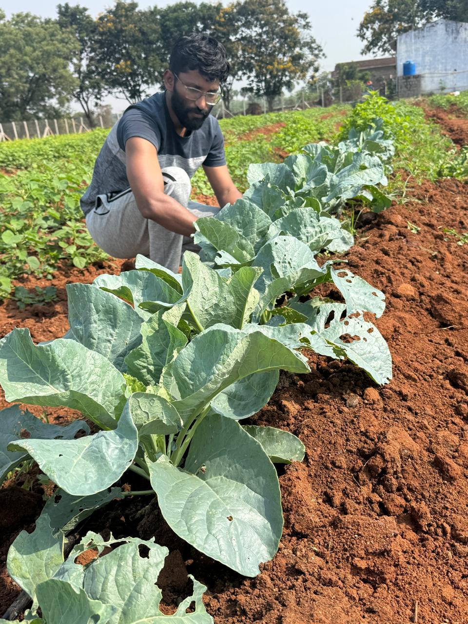 Organic Farming Practices